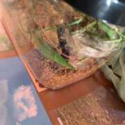 ヒメ日記 2025/04/22 12:00 投稿 すず SUZUME