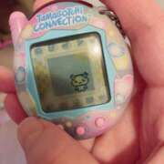 ヒメ日記 2025/04/22 15:00 投稿 すず SUZUME