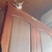 ヒメ日記 2025/04/26 12:00 投稿 すず SUZUME