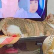 ヒメ日記 2025/04/27 17:00 投稿 すず SUZUME