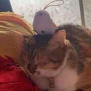 ヒメ日記 2025/05/04 15:00 投稿 すず SUZUME