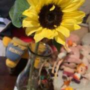 ヒメ日記 2025/05/07 12:00 投稿 すず SUZUME