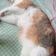 ヒメ日記 2025/05/07 17:00 投稿 すず SUZUME