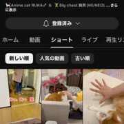 ヒメ日記 2025/05/11 15:00 投稿 すず SUZUME