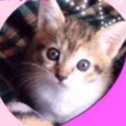 ヒメ日記 2025/05/20 15:00 投稿 すず SUZUME