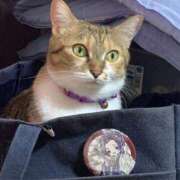 ヒメ日記 2025/05/25 16:30 投稿 すず SUZUME