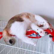 ヒメ日記 2025/05/26 17:00 投稿 すず SUZUME