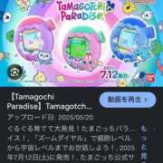 ヒメ日記 2025/05/27 17:00 投稿 すず SUZUME