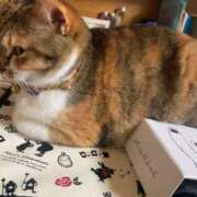 ヒメ日記 2025/05/28 12:00 投稿 すず SUZUME