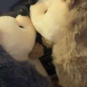 ヒメ日記 2025/05/28 15:00 投稿 すず SUZUME