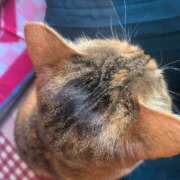 ヒメ日記 2025/05/29 15:00 投稿 すず SUZUME