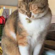 ヒメ日記 2025/05/30 15:00 投稿 すず SUZUME