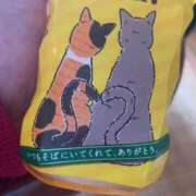 ヒメ日記 2025/05/31 15:00 投稿 すず SUZUME