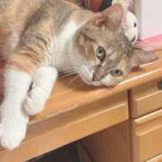 ヒメ日記 2025/06/06 13:00 投稿 すず SUZUME