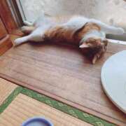 ヒメ日記 2025/06/10 15:00 投稿 すず SUZUME