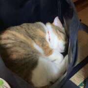 ヒメ日記 2025/06/12 13:00 投稿 すず SUZUME