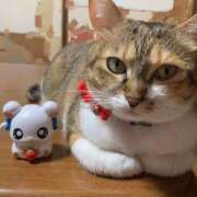 ヒメ日記 2025/06/15 15:00 投稿 すず SUZUME