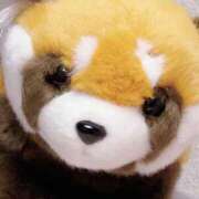 ヒメ日記 2025/06/16 17:00 投稿 すず SUZUME