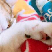 ヒメ日記 2025/06/19 12:00 投稿 すず SUZUME