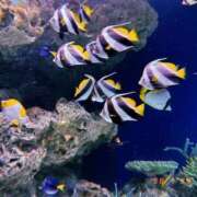 ヒメ日記 2025/06/20 14:30 投稿 すず SUZUME