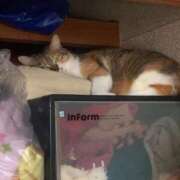 ヒメ日記 2025/06/21 17:00 投稿 すず SUZUME