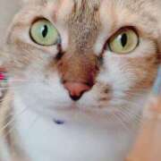 ヒメ日記 2025/06/23 14:00 投稿 すず SUZUME