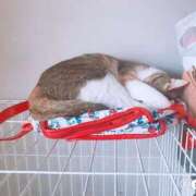 ヒメ日記 2025/06/24 15:00 投稿 すず SUZUME