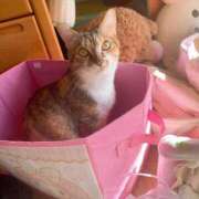 ヒメ日記 2025/06/29 15:00 投稿 すず SUZUME