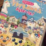 ヒメ日記 2025/06/29 17:00 投稿 すず SUZUME