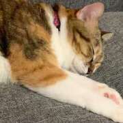 ヒメ日記 2025/06/30 18:00 投稿 すず SUZUME