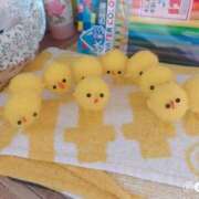 ヒメ日記 2025/07/04 13:00 投稿 すず SUZUME