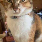 ヒメ日記 2025/07/05 13:00 投稿 すず SUZUME