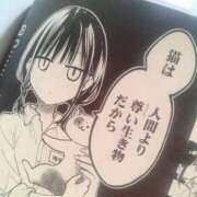 ヒメ日記 2025/07/08 13:00 投稿 すず SUZUME