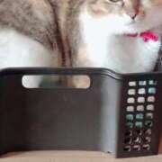 ヒメ日記 2025/07/09 12:00 投稿 すず SUZUME