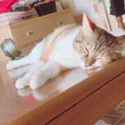 ヒメ日記 2025/07/10 15:00 投稿 すず SUZUME