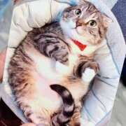 ヒメ日記 2025/07/12 17:00 投稿 すず SUZUME