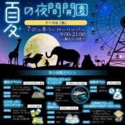 ヒメ日記 2025/07/13 17:00 投稿 すず SUZUME