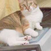 ヒメ日記 2025/07/16 15:00 投稿 すず SUZUME