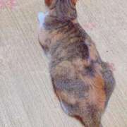 ヒメ日記 2025/07/19 19:30 投稿 すず SUZUME