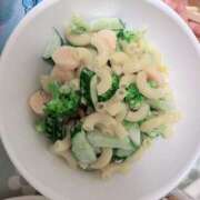 ヒメ日記 2025/07/20 08:45 投稿 すず SUZUME