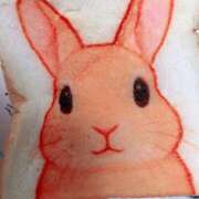 ヒメ日記 2025/07/20 13:30 投稿 すず SUZUME