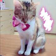 ヒメ日記 2025/07/22 13:00 投稿 すず SUZUME