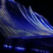 ヒメ日記 2025/07/23 17:00 投稿 すず SUZUME