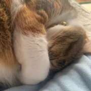 ヒメ日記 2025/07/24 15:00 投稿 すず SUZUME