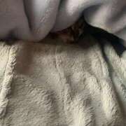 ヒメ日記 2025/07/25 15:00 投稿 すず SUZUME