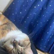 ヒメ日記 2025/07/27 15:00 投稿 すず SUZUME