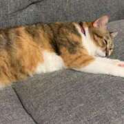 ヒメ日記 2025/07/30 13:00 投稿 すず SUZUME