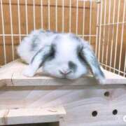 ヒメ日記 2025/08/07 15:00 投稿 すず SUZUME