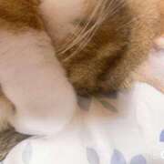 ヒメ日記 2025/08/08 15:00 投稿 すず SUZUME