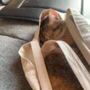 ヒメ日記 2025/08/15 10:00 投稿 すず SUZUME